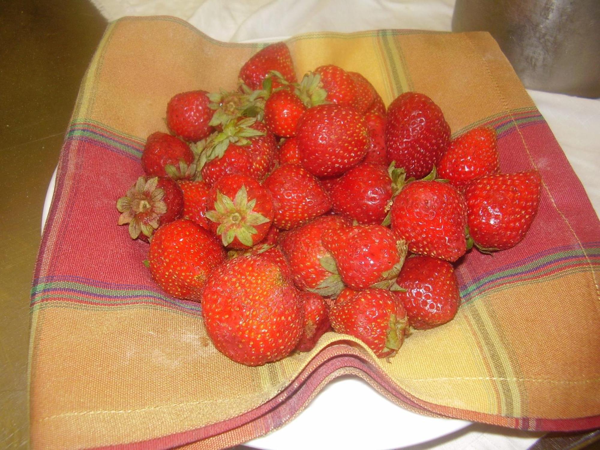 Agriturismo La Dimora Del Contadino Mondovi Extérieur photo
